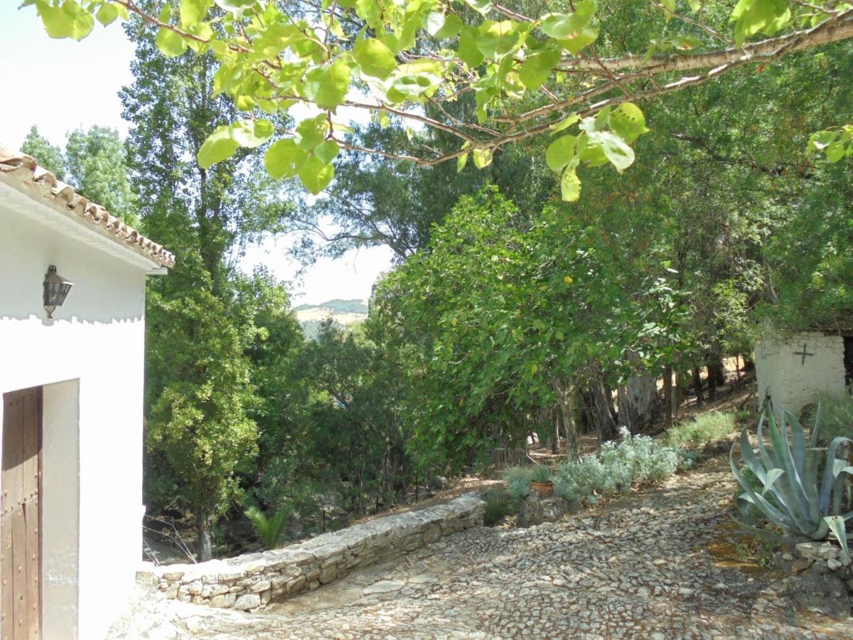 Villa El Pastor Grazalema Exterior foto
